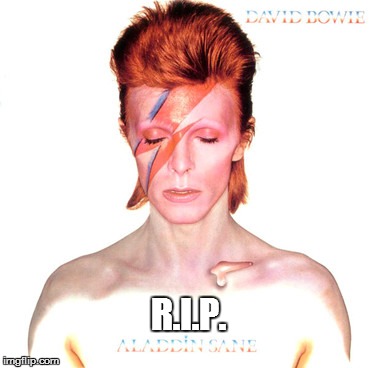 David Bowie | R.I.P. | image tagged in david bowie | made w/ Imgflip meme maker