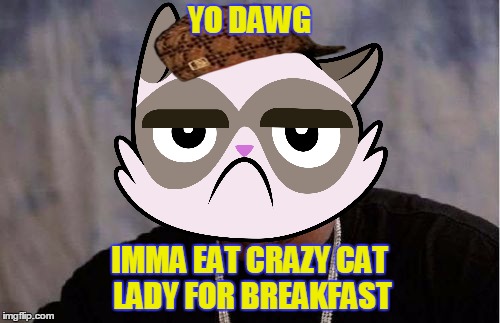 YO DAWG IMMA EAT CRAZY CAT LADY FOR BREAKFAST | made w/ Imgflip meme maker