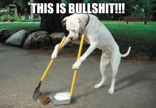 Dog poop | THIS IS BULLSHIT!!! | image tagged in dog poop | made w/ Imgflip meme maker