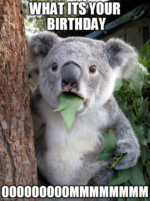 Surprised Koala | WHAT ITS YOUR BIRTHDAY OOOOOOOOOMMMMMMMM | image tagged in memes,surprised coala | made w/ Imgflip meme maker