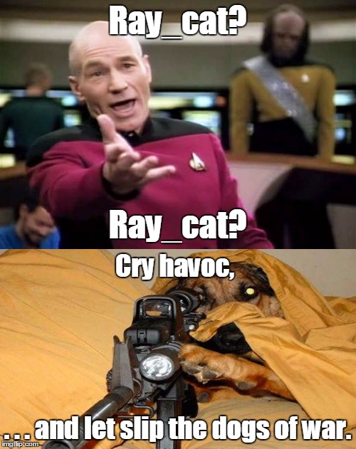 Ray_cat? . . . and let slip the dogs of war. Ray_cat? Cry havoc, | made w/ Imgflip meme maker