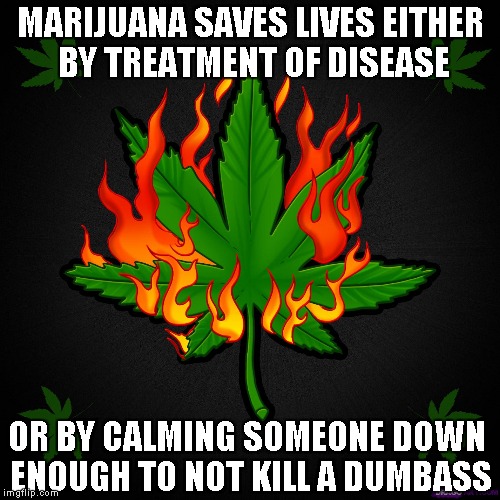 I don't know about anyone else, but it sure keeps me sane. | MARIJUANA SAVES LIVES EITHER BY TREATMENT OF DISEASE OR BY CALMING SOMEONE DOWN ENOUGH TO NOT KILL A DUMBASS | image tagged in burning pot leaf,marijuana,funny,memes,medicinal marijuana | made w/ Imgflip meme maker