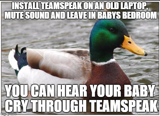 Actual Advice Mallard Meme | INSTALL TEAMSPEAK ON AN OLD LAPTOP, MUTE SOUND AND LEAVE IN BABYS BEDROOM YOU CAN HEAR YOUR BABY CRY THROUGH TEAMSPEAK | image tagged in memes,actual advice mallard,pcmasterrace | made w/ Imgflip meme maker