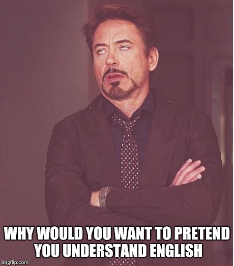 Face You Make Robert Downey Jr Meme | WHY WOULD YOU WANT TO PRETEND YOU UNDERSTAND ENGLISH | image tagged in memes,face you make robert downey jr | made w/ Imgflip meme maker