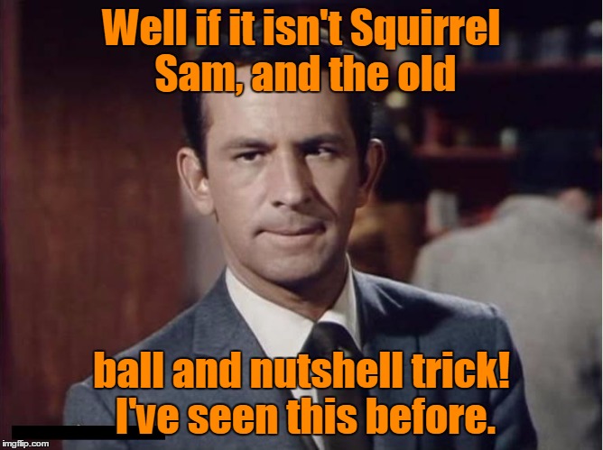 Well if it isn't Squirrel Sam, and the old ball and nutshell trick! I've seen this before. | made w/ Imgflip meme maker