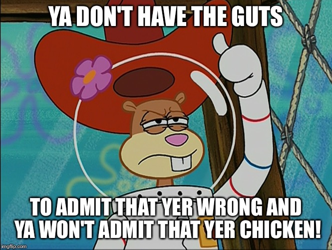 Sandy Cheeks | YA DON'T HAVE THE GUTS TO ADMIT THAT YER WRONG AND YA WON'T ADMIT THAT YER CHICKEN! | image tagged in sandy cheeks,memes,spongebob squarepants,sandy cheeks cowboy hat,insult,texas girl | made w/ Imgflip meme maker