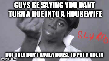 Black Woman | GUYS BE SAYING YOU CANT TURN A HOE INTO A HOUSEWIFE BUT THEY DON'T HAVE A HOUSE TO PUT A HOE IN | image tagged in black woman | made w/ Imgflip meme maker