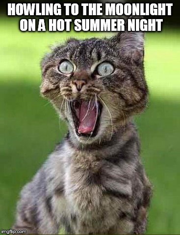 HOWLING TO THE MOONLIGHT ON A HOT SUMMER NIGHT | made w/ Imgflip meme maker