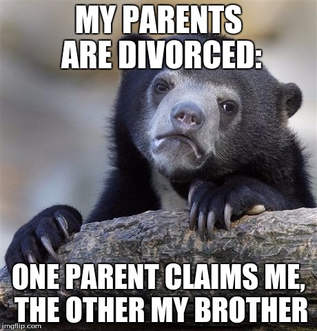 Confession Bear Meme | MY PARENTS ARE DIVORCED: ONE PARENT CLAIMS ME, THE OTHER MY BROTHER | image tagged in memes,confession bear | made w/ Imgflip meme maker