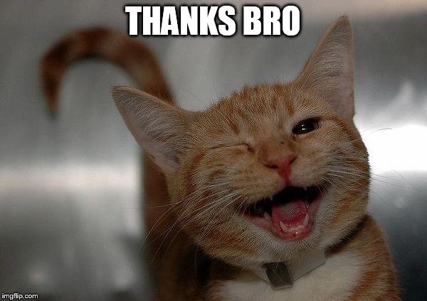 THANKS BRO | made w/ Imgflip meme maker