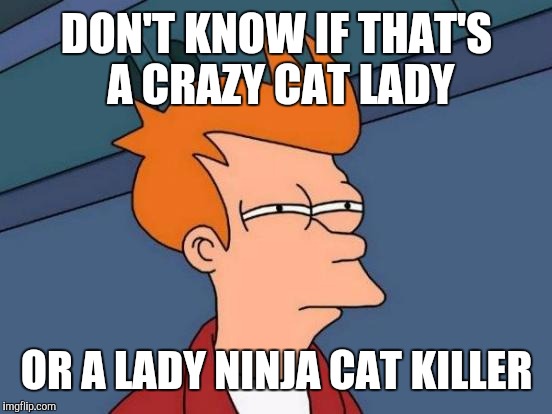 Futurama Fry Meme | DON'T KNOW IF THAT'S A CRAZY CAT LADY OR A LADY NINJA CAT KILLER | image tagged in memes,futurama fry | made w/ Imgflip meme maker