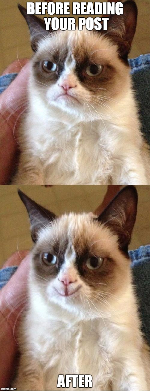 Grumpy Cat 2x Smile | BEFORE READING YOUR POST AFTER | image tagged in grumpy cat 2x smile | made w/ Imgflip meme maker