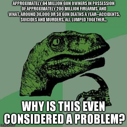 Philosoraptor | APPROXIMATELY 84 MILLION GUN OWNERS IN POSSESSION OF APPROXIMATELY 200 MILLION FIREARMS, AND WHAT, AROUND 30,000 OR SO GUN DEATHS A YEAR--AC | image tagged in memes,philosoraptor | made w/ Imgflip meme maker