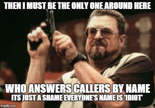 Am I The Only One Around Here Meme | THEN I MUST BE THE ONLY ONE AROUND HERE WHO ANSWERS CALLERS BY NAME ITS JUST A SHAME EVERYONE'S NAME IS 'IDIOT' | image tagged in memes,am i the only one around here | made w/ Imgflip meme maker