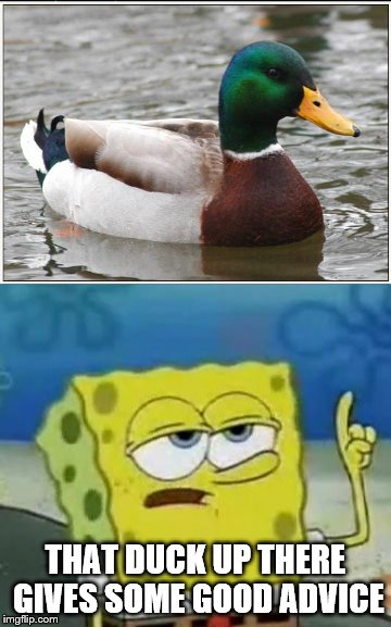 Everybody needs good neighbours... | THAT DUCK UP THERE GIVES SOME GOOD ADVICE | image tagged in memes,spongebob,actual advice mallard | made w/ Imgflip meme maker