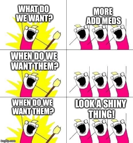 What do we want? | WHAT DO WE WANT? MORE ADD MEDS WHEN DO WE WANT THEM? WHEN DO WE WANT THEM? LOOK A SHINY THING! | image tagged in what do we want | made w/ Imgflip meme maker