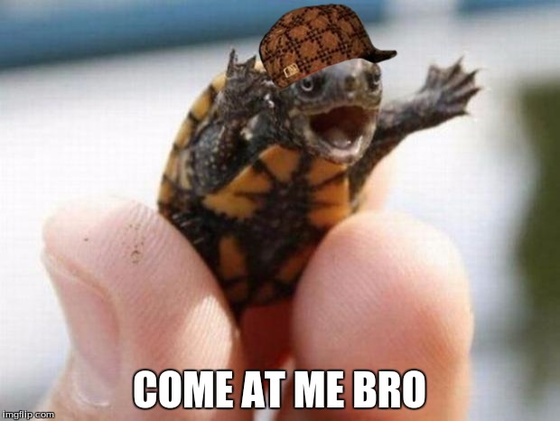 fuckyeah turtle | COME AT ME BRO | image tagged in fuckyeah turtle,scumbag | made w/ Imgflip meme maker
