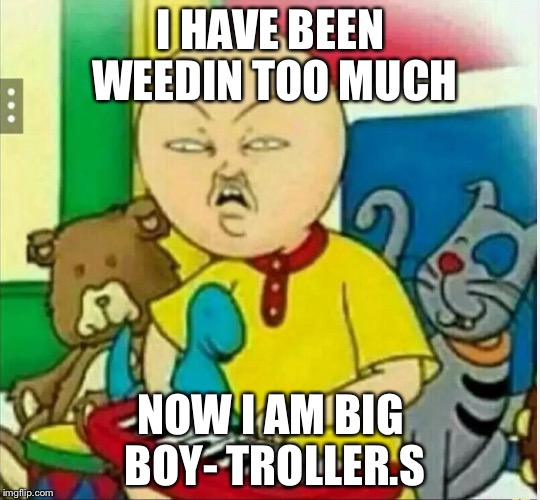 Calliou  | I HAVE BEEN WEEDIN TOO MUCH NOW I AM BIG BOY- TROLLER.S | image tagged in calliou | made w/ Imgflip meme maker