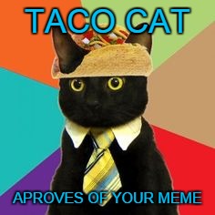 TACO CAT APROVES OF YOUR MEME | made w/ Imgflip meme maker