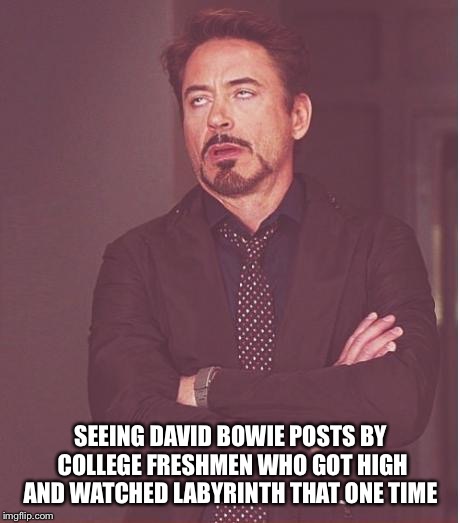 Face You Make Robert Downey Jr Meme | SEEING DAVID BOWIE POSTS BY COLLEGE FRESHMEN WHO GOT HIGH AND WATCHED LABYRINTH THAT ONE TIME | image tagged in memes,face you make robert downey jr,funny | made w/ Imgflip meme maker