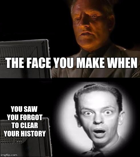 THE FACE YOU MAKE WHEN YOU SAW YOU FORGOT TO CLEAR YOUR HISTORY | image tagged in memes | made w/ Imgflip meme maker