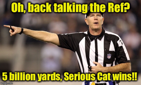 Ref #2 | Oh, back talking the Ref? 5 billion yards, Serious Cat wins!! | image tagged in ref 2 | made w/ Imgflip meme maker