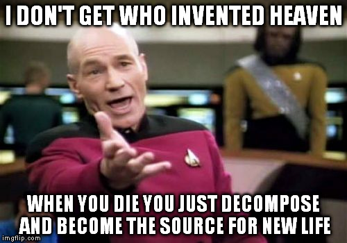 Shouldn't that count as some sort of reincarnation anyways? | I DON'T GET WHO INVENTED HEAVEN WHEN YOU DIE YOU JUST DECOMPOSE AND BECOME THE SOURCE FOR NEW LIFE | image tagged in memes,picard wtf | made w/ Imgflip meme maker