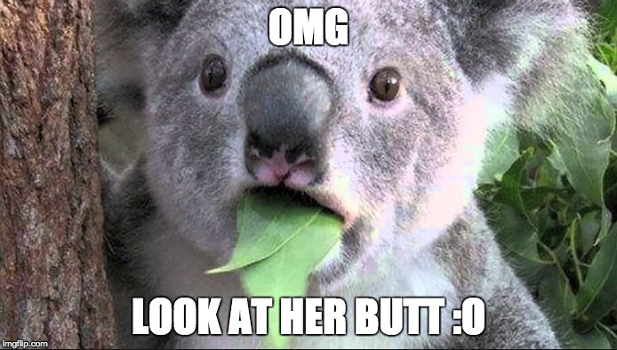 OMG LOOK AT HER BUTT :O | image tagged in koko koala | made w/ Imgflip meme maker