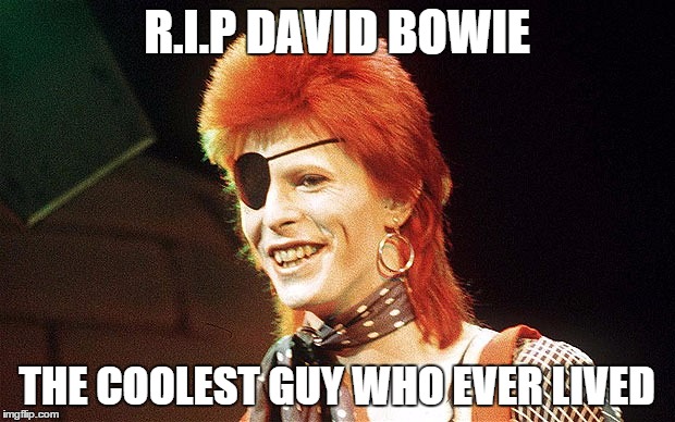 Rest in peace, David Bowie. Singer, Song-writer, painter; a truly great man who was by no means afraid to be different. | R.I.P DAVID BOWIE THE COOLEST GUY WHO EVER LIVED | image tagged in memes | made w/ Imgflip meme maker