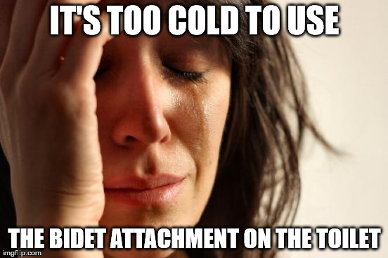 First World Problems | IT'S TOO COLD TO USE THE BIDET ATTACHMENT ON THE TOILET | image tagged in memes,first world problems,AdviceAnimals | made w/ Imgflip meme maker
