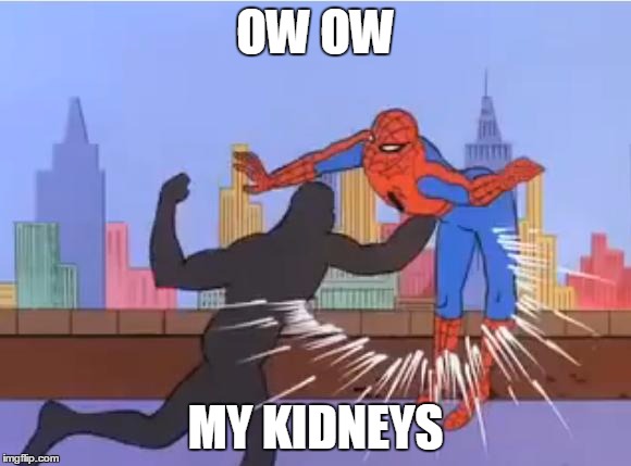 spiderman hit | OW OW MY KIDNEYS | image tagged in spiderman hit | made w/ Imgflip meme maker