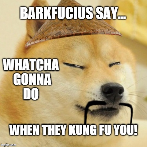 bad choy, bad choy | BARKFUCIUS SAY... WHATCHA GONNA DO WHEN THEY KUNG FU YOU! | image tagged in barkfucius asian doge barkfucious,memes,doge,barkfucius,funny memes | made w/ Imgflip meme maker