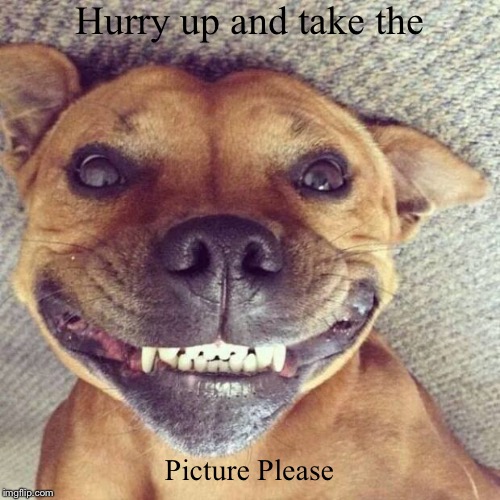 Hurry up and take the | Picture Please | image tagged in funny,demotivationals | made w/ Imgflip demotivational maker