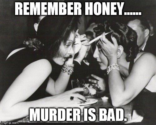 REMEMBER HONEY...... MURDER IS BAD. | image tagged in vixen females | made w/ Imgflip meme maker