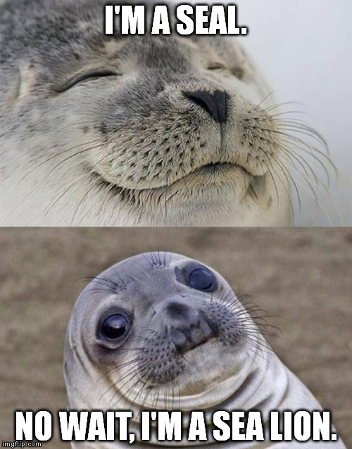 Short Satisfaction VS Truth | I'M A SEAL. NO WAIT, I'M A SEA LION. | image tagged in memes,short satisfaction vs truth | made w/ Imgflip meme maker