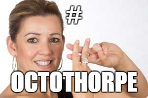 Hashtag | # OCTOTHORPE | image tagged in hashtag | made w/ Imgflip meme maker