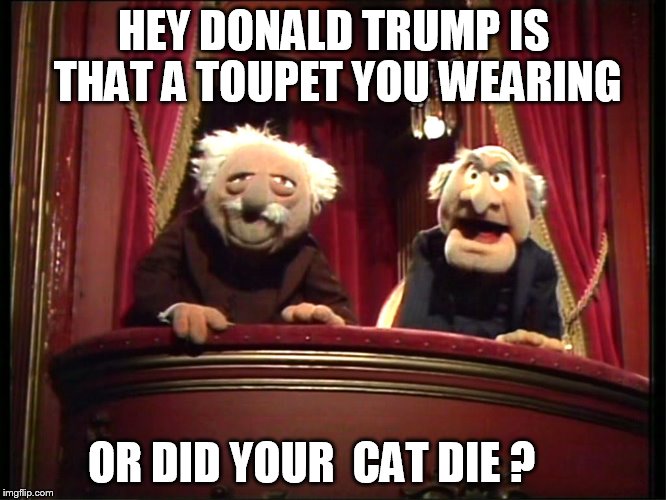 HEY DONALD TRUMP IS THAT A TOUPET YOU WEARING OR DID YOUR  CAT DIE ? | image tagged in statler and waldorf | made w/ Imgflip meme maker