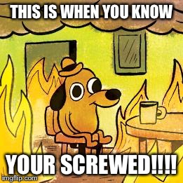 Dog in burning house | THIS IS WHEN YOU KNOW YOUR SCREWED!!!! | image tagged in dog in burning house | made w/ Imgflip meme maker