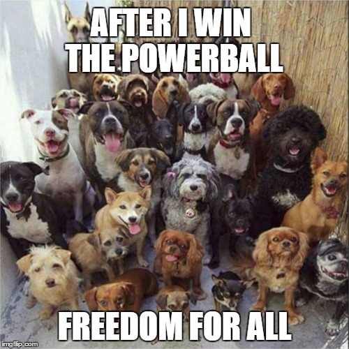 dogs-222 | AFTER I WIN THE POWERBALL FREEDOM FOR ALL | image tagged in dogs-222 | made w/ Imgflip meme maker