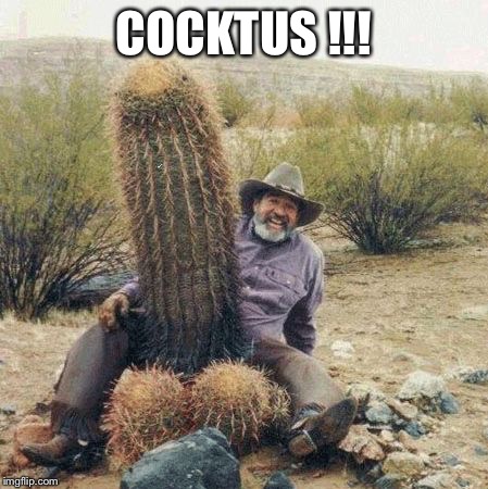 Cactus  | COCKTUS !!! | image tagged in cactus | made w/ Imgflip meme maker