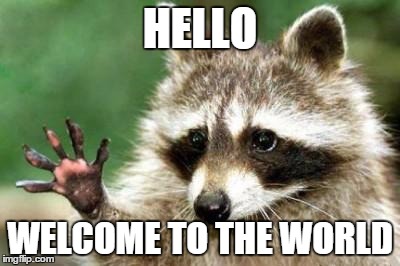 Hello raccoon | HELLO WELCOME TO THE WORLD | image tagged in hello raccoon | made w/ Imgflip meme maker