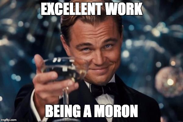 Leonardo Dicaprio Cheers | EXCELLENT WORK BEING A MORON | image tagged in memes,leonardo dicaprio cheers | made w/ Imgflip meme maker