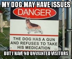 Home security | MY DOG MAY HAVE ISSUES BUT I HAVE NO UNWANTED VISITORS | image tagged in dog,medicine,security | made w/ Imgflip meme maker