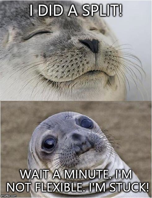 Awkward moment seal | I DID A SPLIT! WAIT A MINUTE. I'M NOT FLEXIBLE. I'M STUCK! | image tagged in awkward moment seal | made w/ Imgflip meme maker