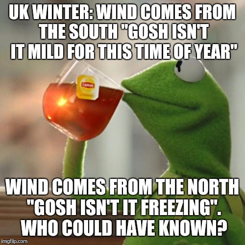 But That's None Of My Business Meme | UK WINTER: WIND COMES FROM THE SOUTH "GOSH ISN'T IT MILD FOR THIS TIME OF YEAR" WIND COMES FROM THE NORTH "GOSH ISN'T IT FREEZING". WHO COUL | image tagged in memes,but thats none of my business,kermit the frog | made w/ Imgflip meme maker