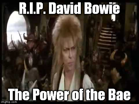 R.I.P. David Bowie The Power of the Bae | image tagged in the power of the bae | made w/ Imgflip meme maker