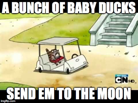 Baby Ducks in the Moon | A BUNCH OF BABY DUCKS SEND EM TO THE MOON | image tagged in memes | made w/ Imgflip meme maker