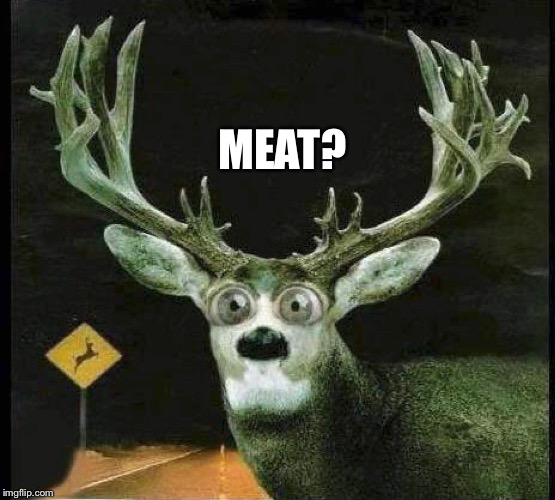 DEER IN THE HEADLIGHTS | MEAT? | image tagged in deer in the headlights | made w/ Imgflip meme maker