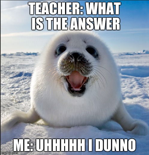 Dunno??????? | TEACHER: WHAT IS THE ANSWER ME: UHHHHH I DUNNO | image tagged in meme | made w/ Imgflip meme maker