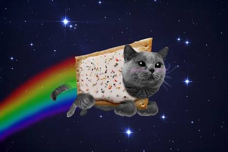Nyan cat Blank Meme Template